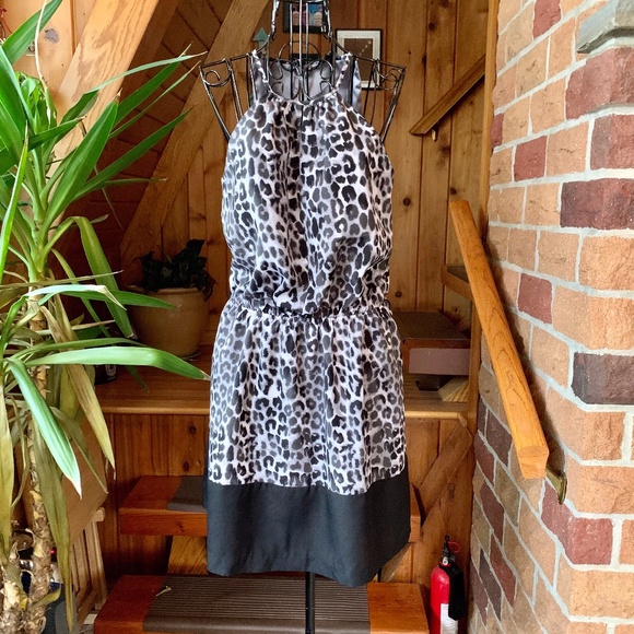 Express Dresses & Skirts - Express Blouson Leopard Keyhole Midi Halter Dress